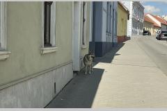 <p><br></p>