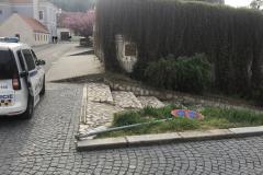 <p><br></p>