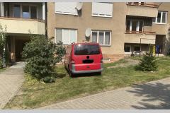 <p><br></p>