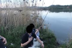 <p><br></p>